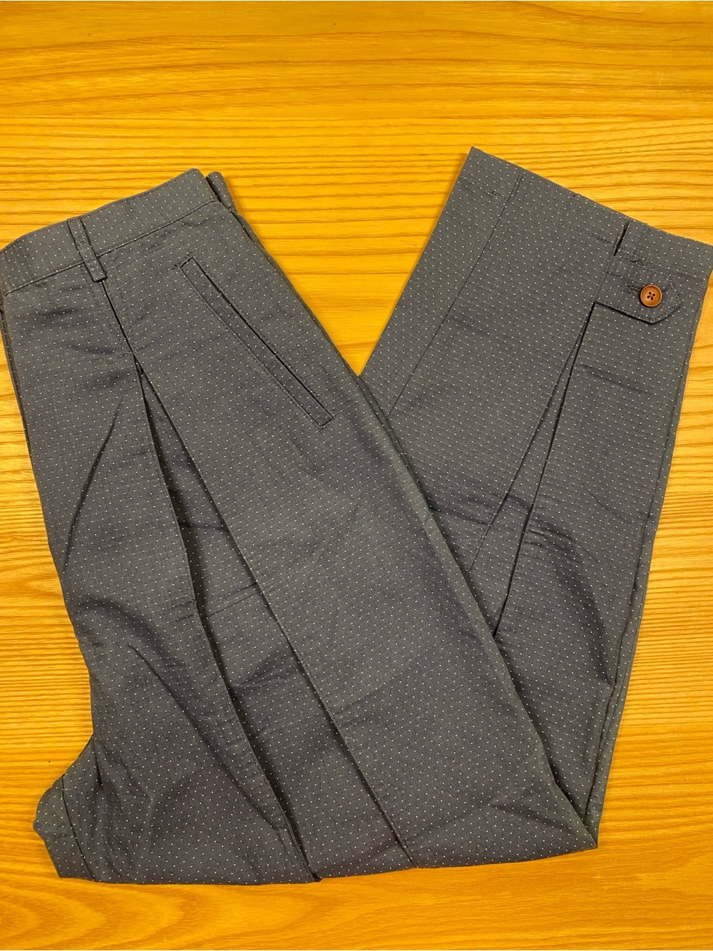 EUC CARON CALLAHAN - Blue Cotton Microdot Pants - Size 4